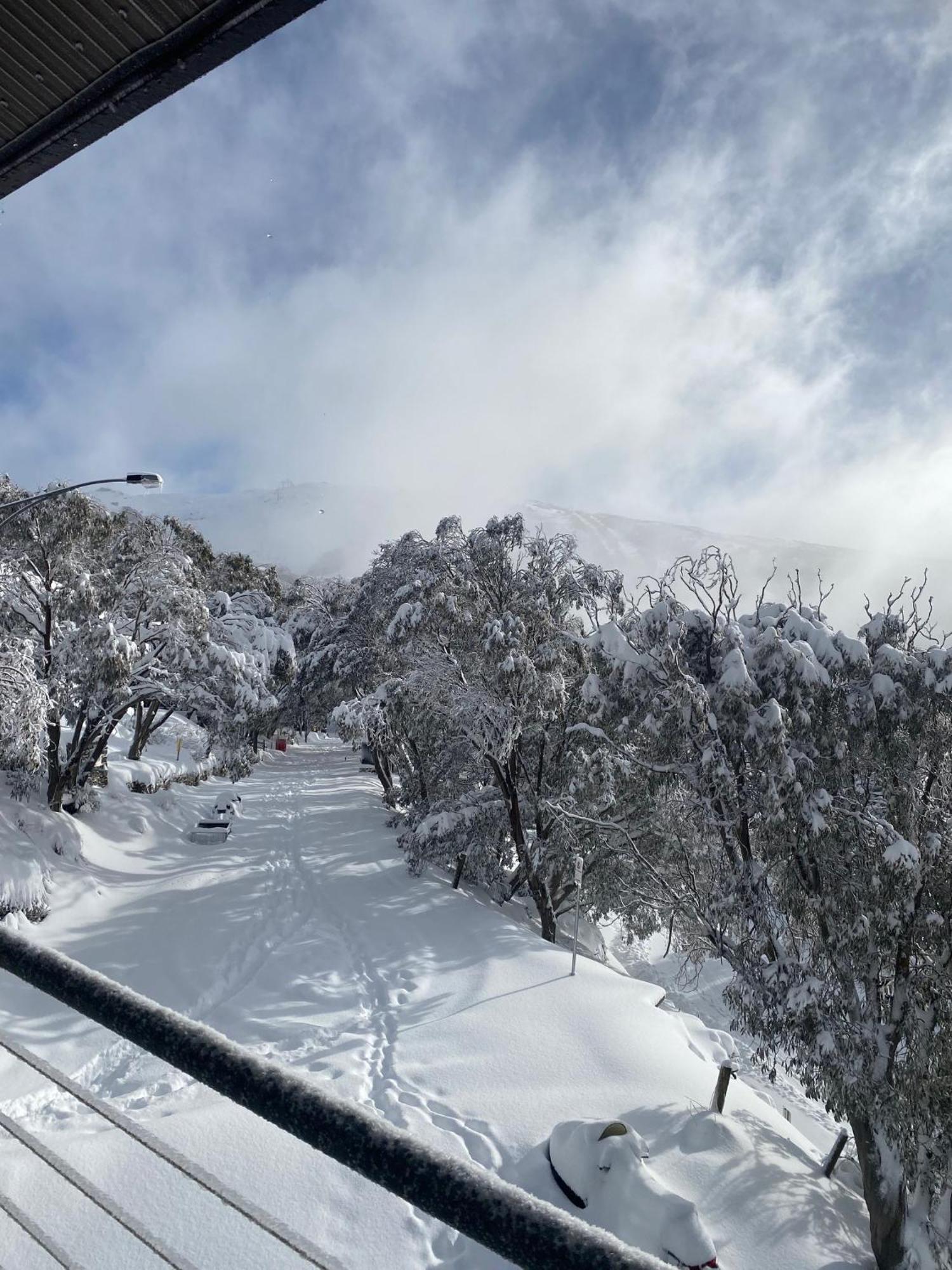 Alpine Woodsmoke Apartments Falls Creek Dış mekan fotoğraf